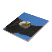 Bald Eagle Flyby Up Close タイル (側面)