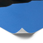 Bald Eagle Flyby Up Close ポスター (角)