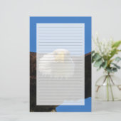 Bald Eagle Flyby Up Close 便箋 (スタンド正面)