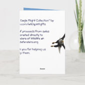 Bald Eagle Free Spirit Flightコレクションカード シーズンカード (裏面)