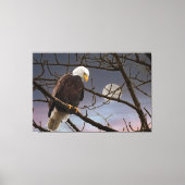 Bald Eagle Full Moon Wildlife Photography 60X40 キャンバスプリント (正面)