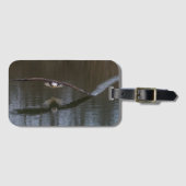 Bald Eagle in Flight荷札 ラゲッジタグ (正面横)