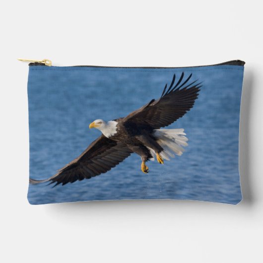 Bald eagle in flight アクセサリーポーチ (正面)