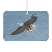 Bald eagle in flight カーエアーフレッシュナー (裏面)