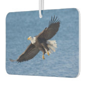 Bald eagle in flight カーエアーフレッシュナー (左)