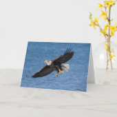 Bald eagle in flight カード (黄色い花)