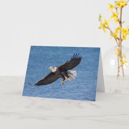 Bald eagle in flight カード (黄色い花)