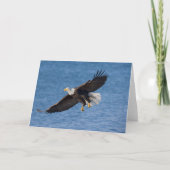 Bald eagle in flight カード (正面)