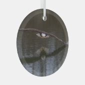 Bald Eagle in Flight ガラスオーナメント (正面右)