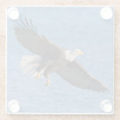 Bald eagle in flight ガラスコースター (裏面)