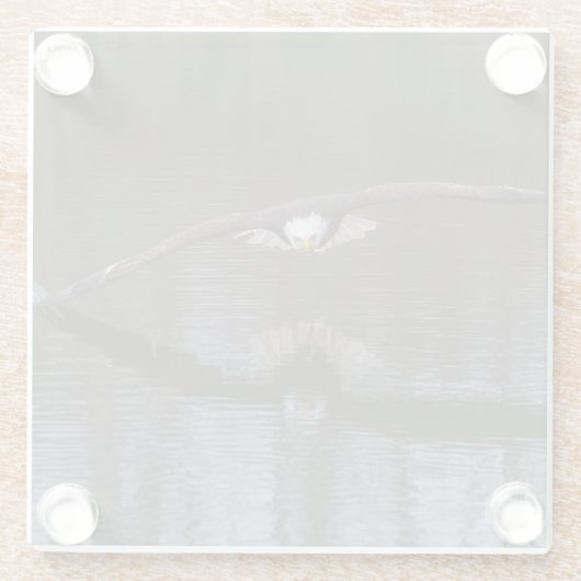 Bald Eagle in Flight ガラスコースター (裏面)