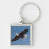 Bald eagle in flight キーホルダー (正面)