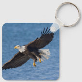 Bald eagle in flight キーホルダー (裏面)