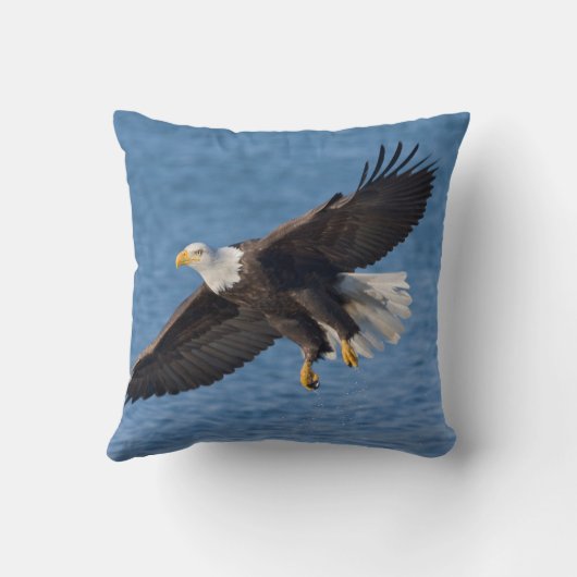 Bald eagle in flight クッション (裏面)