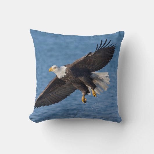 Bald eagle in flight クッション (正面)