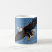 Bald eagle in flight コーヒーマグカップ (中央)