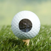 Bald Eagle in Flight ゴルフボール (インサイチュ 木)