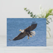 Bald eagle in flight サンキューカード (スタンド正面)