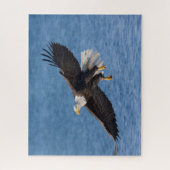 Bald eagle in flight ジグソーパズル (縦)