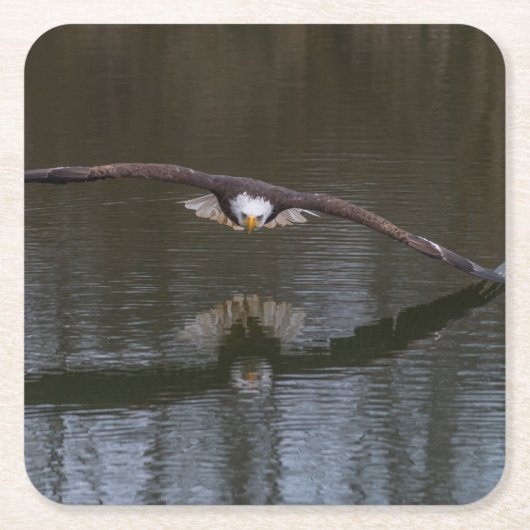 Bald Eagle in Flight スクエアペーパーコースター (正面)