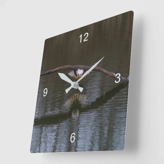 Bald Eagle in Flight スクエア壁時計 (傾斜)