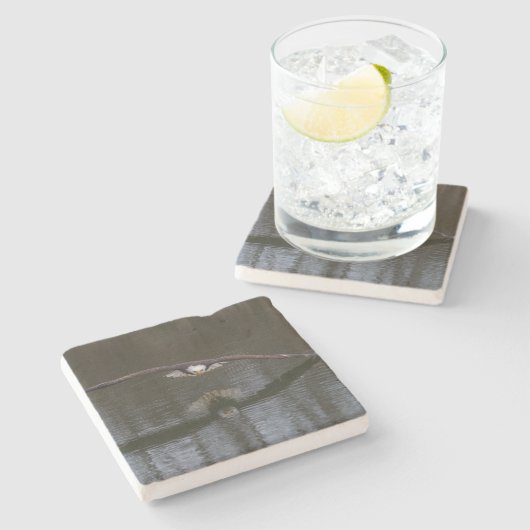 Bald Eagle in Flight ストーンコースター (横)