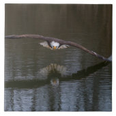 Bald Eagle in Flight タイル (正面)
