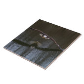 Bald Eagle in Flight タイル (側面)