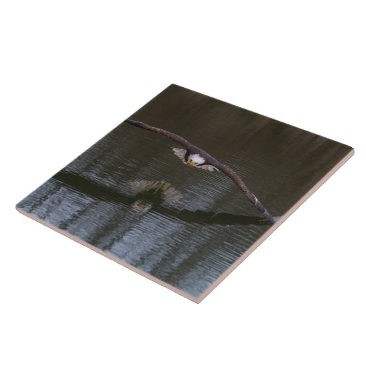 Bald Eagle in Flight タイル (側面)