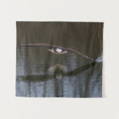 Bald Eagle in Flight タペストリー (正面(横))