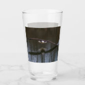 Bald Eagle in Flight タンブラーグラス (正面)