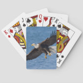 Bald eagle in flight トランプ (裏面)