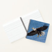 Bald eagle in flight ノートブック (内部)