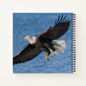 Bald eagle in flight ノートブック (裏面)