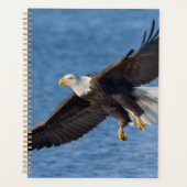 Bald eagle in flight プランナー手帳 (正面)