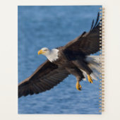 Bald eagle in flight プランナー手帳 (裏面)
