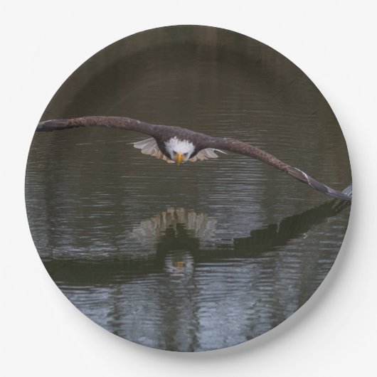 Bald Eagle in Flight ペーパープレート (正面)
