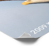 Bald Eagle in Flight ポスター (角)