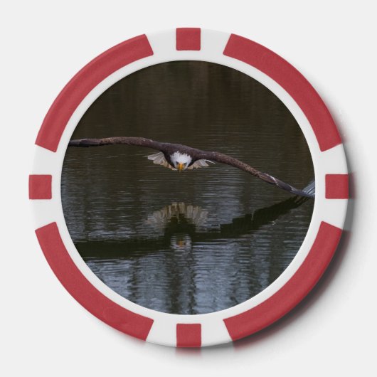 Bald Eagle in Flight ポーカーチップ (正面)