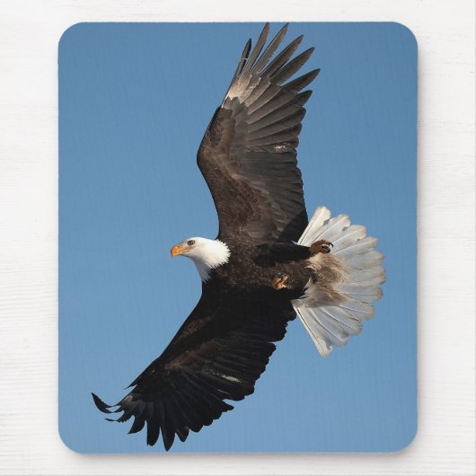 Bald Eagle in Flight マウスパッド (正面)