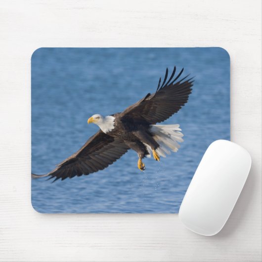 Bald eagle in flight マウスパッド (マウス)