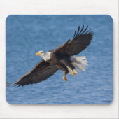 Bald eagle in flight マウスパッド (正面)