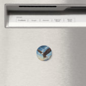 Bald Eagle in Flight マグネット (インサイチュ (食洗機))