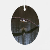 Bald Eagle in Flight メタルオーナメント (正面左)
