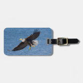 Bald eagle in flight ラゲッジタグ (正面横)