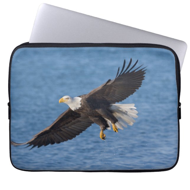 Bald eagle in flight ラップトップスリーブ (正面)
