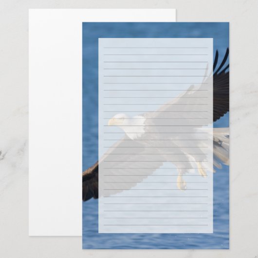 Bald eagle in flight 便箋 (正面/裏面)