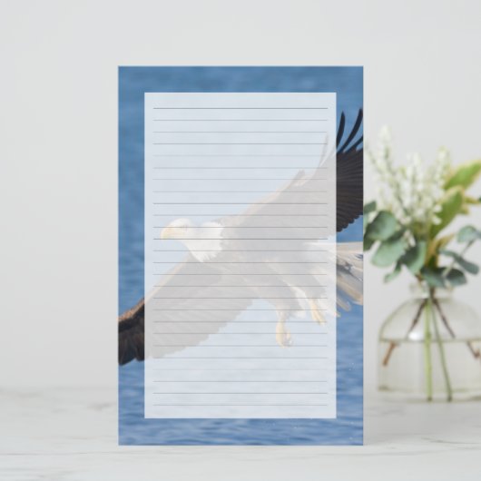 Bald eagle in flight 便箋 (スタンド正面)