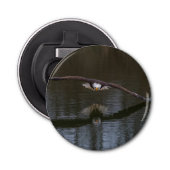 Bald Eagle in Flight 栓抜き (正面)