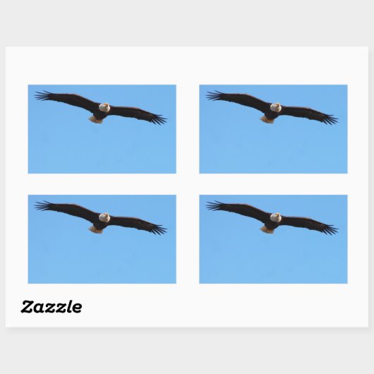Bald Eagle in Flight 長方形シール (シート)